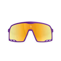 Minnesota Vikings Campeones